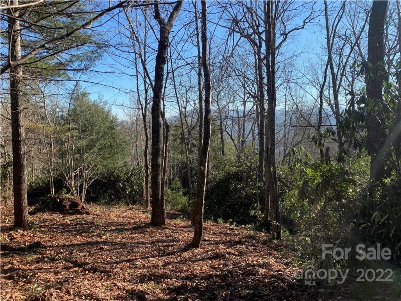 Property image 2 at 17a Hawkins Hollow Road, Pisgah Forest, NC 28768
