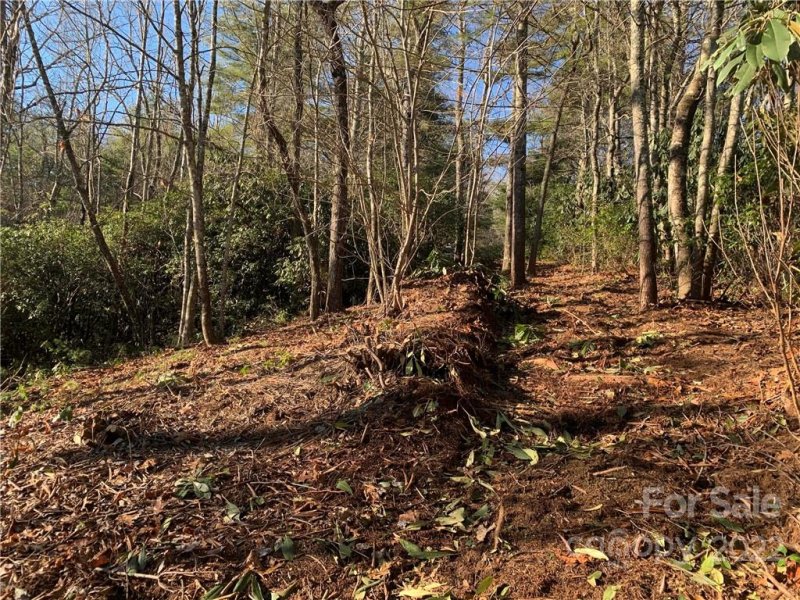 Property image 4 at 17a Hawkins Hollow Road, Pisgah Forest, NC 28768