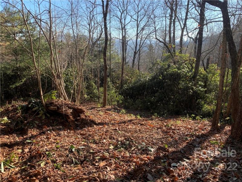 Property image 5 at 17a Hawkins Hollow Road, Pisgah Forest, NC 28768