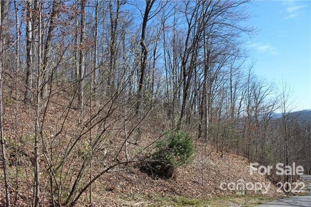 Property image 2 at 242 Black Bear Ridge Trail, Zirconia, NC 28790