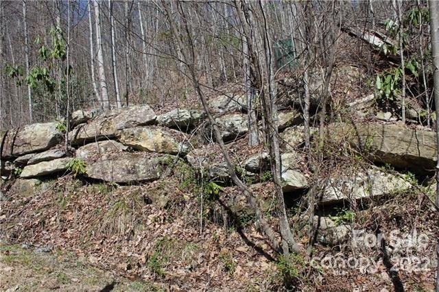 Property image 3 at 242 Black Bear Ridge Trail, Zirconia, NC 28790