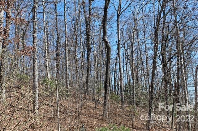 Property image 4 at 242 Black Bear Ridge Trail, Zirconia, NC 28790