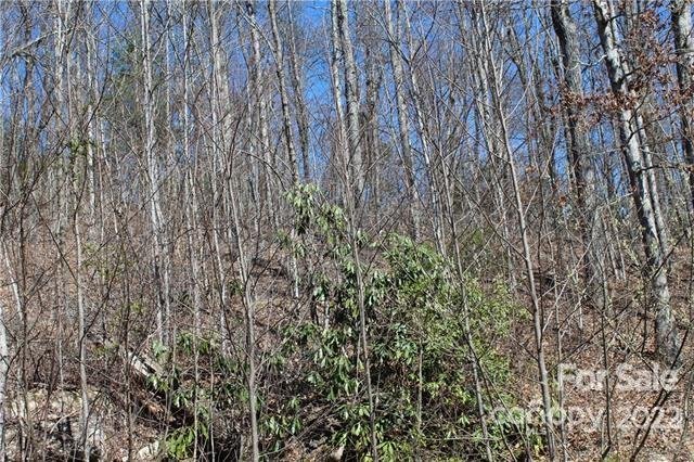 Property image 5 at 242 Black Bear Ridge Trail, Zirconia, NC 28790