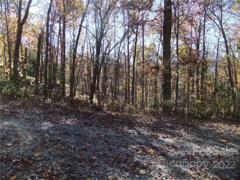 Property image 3 at 0 Doubleview Drive, Union Mills, NC 28167