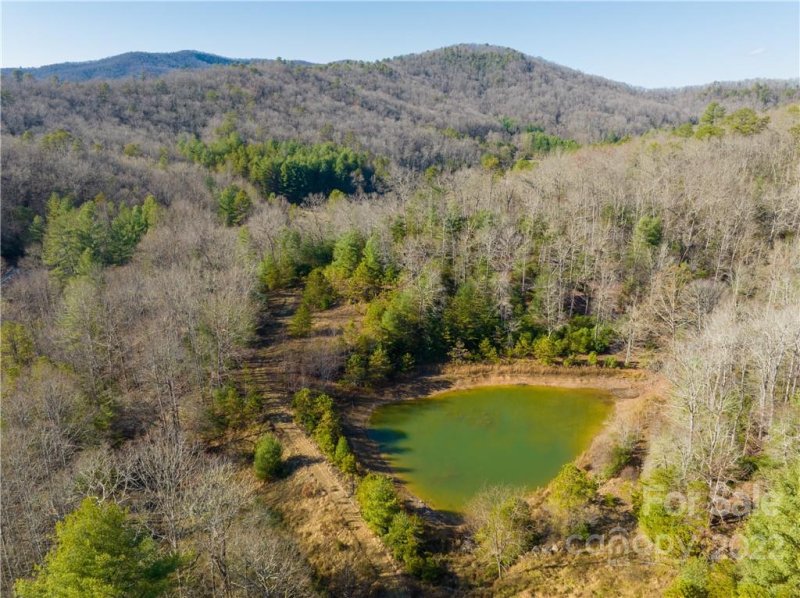 Property image 3 at 630 Stonefly Drive, Horse Shoe, NC 28742