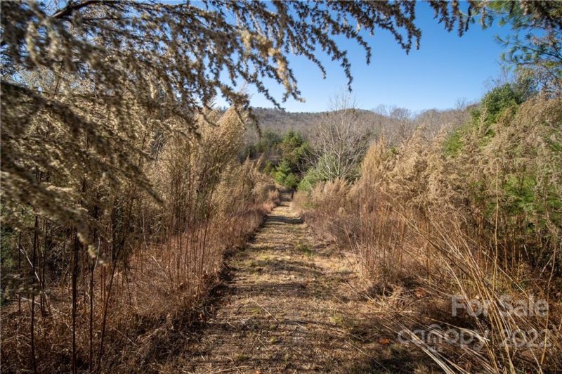 Property image 4 at 630 Stonefly Drive, Horse Shoe, NC 28742