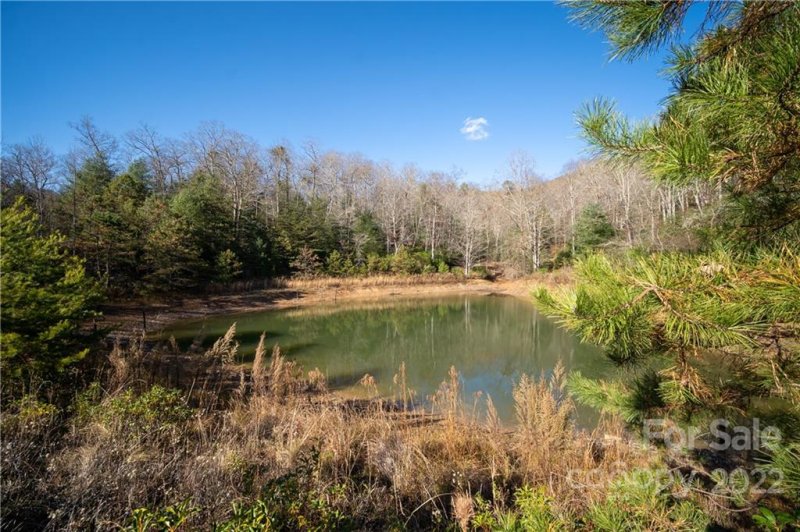 Property image 5 at 630 Stonefly Drive, Horse Shoe, NC 28742