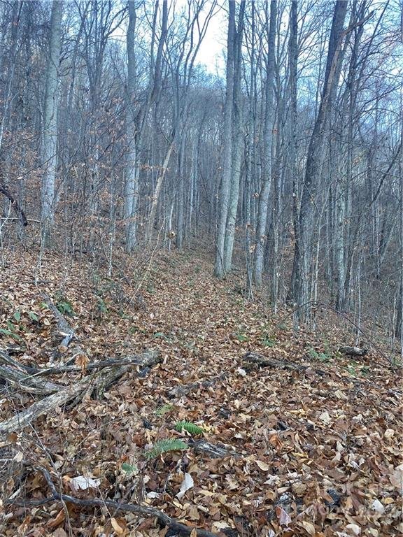 Property image 3 at Lot 37 Seven Glens Drive, Weaverville, NC 28787