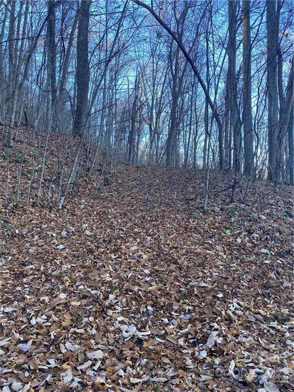 Property image 4 at Lot 37 Seven Glens Drive, Weaverville, NC 28787