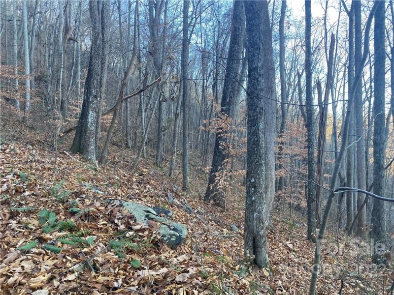 Property image 5 at Lot 37 Seven Glens Drive, Weaverville, NC 28787