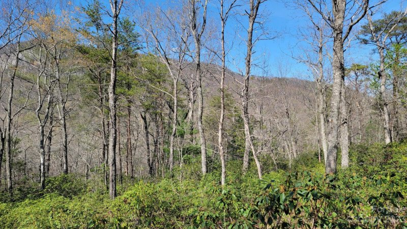 Property image 2 at 0 Garden Lane, Lake Lure, NC 28746