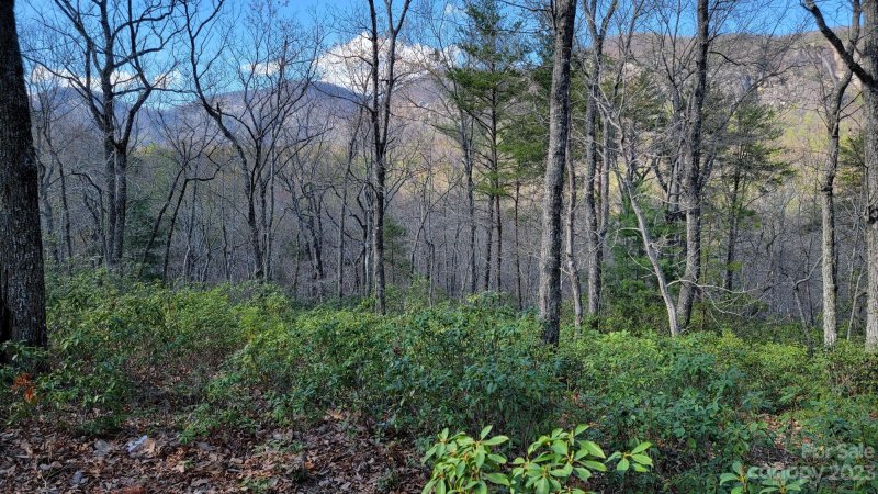 Property image 3 at 0 Garden Lane, Lake Lure, NC 28746