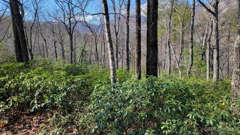 Property image 4 at 0 Garden Lane, Lake Lure, NC 28746