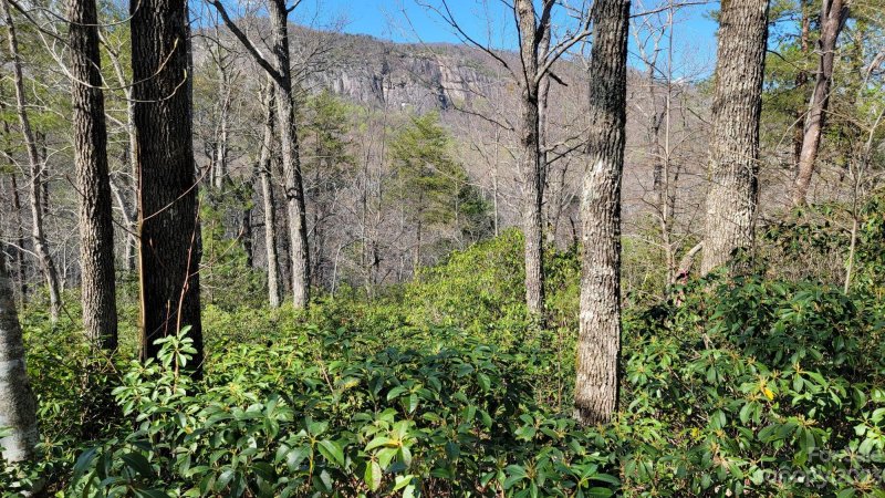 Property image 5 at 0 Garden Lane, Lake Lure, NC 28746