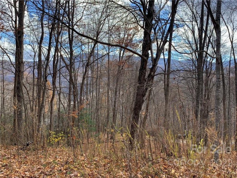 Property image 2 at 000 Wildwood Drive, Burnsville, NC 28714