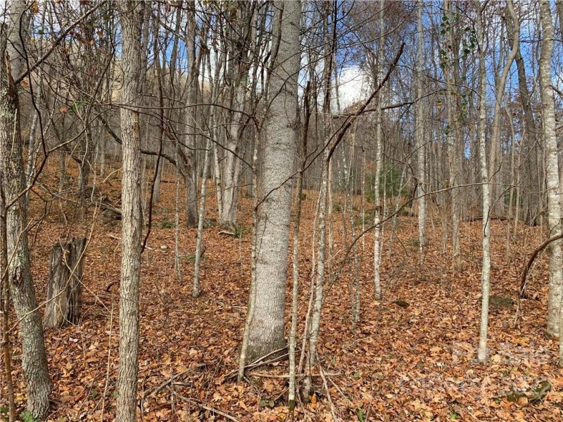 Property image 4 at 000 Wildwood Drive, Burnsville, NC 28714