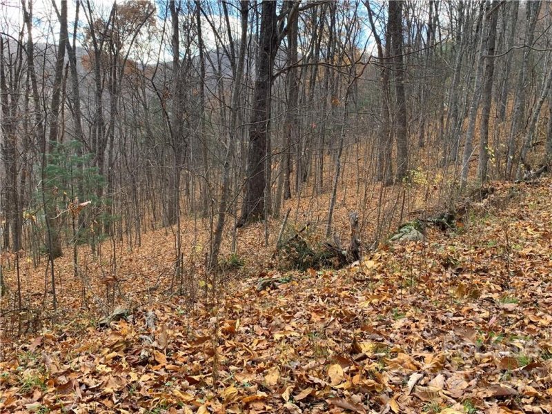 Property image 5 at 000 Wildwood Drive, Burnsville, NC 28714