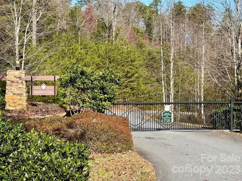 Property image 3 at 3 178 Acres Smoothstem Court, Nebo, NC 28761