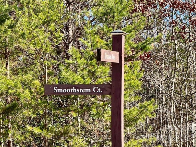 Property image 4 at 3 178 Acres Smoothstem Court, Nebo, NC 28761