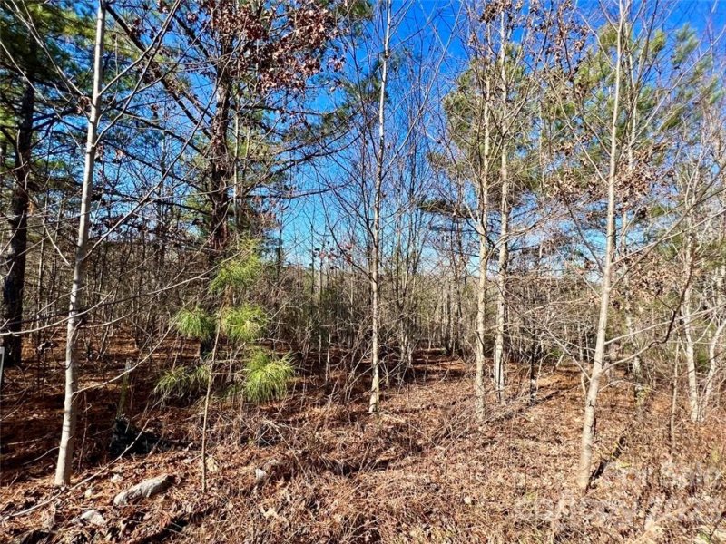 Property image 5 at 3 178 Acres Smoothstem Court, Nebo, NC 28761