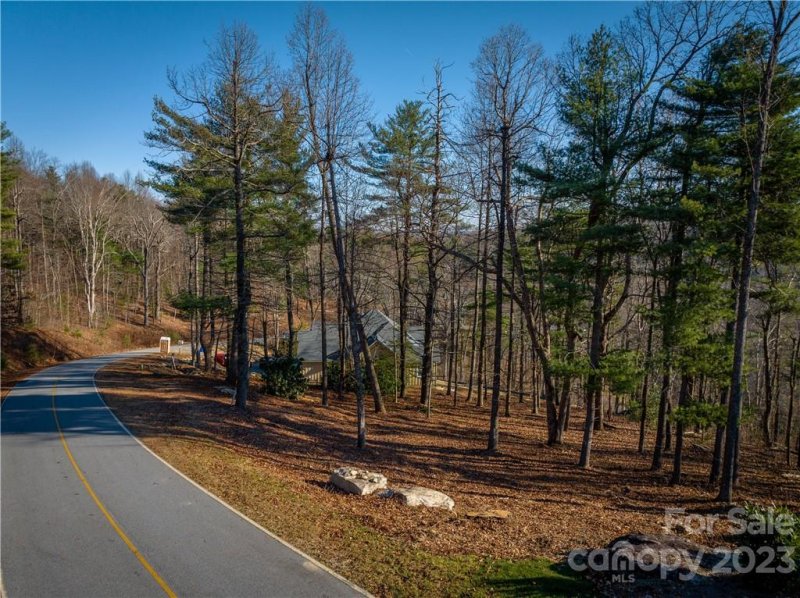 Property image 4 of 000 Hollybrook Drive in Kenmure, Flat Rock, NC 28731