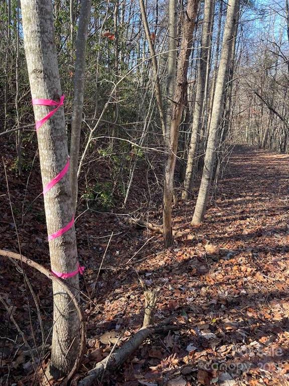 Property image 3 at 0 Omega Drive, Tryon, NC 28782