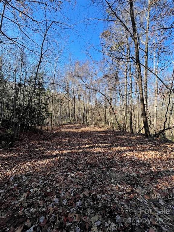 Property image 4 at 0 Omega Drive, Tryon, NC 28782