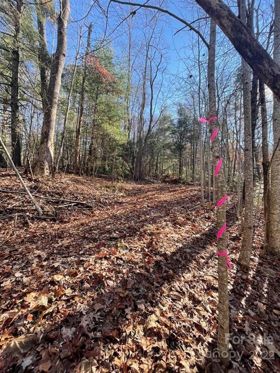 Property image 5 at 0 Omega Drive, Tryon, NC 28782