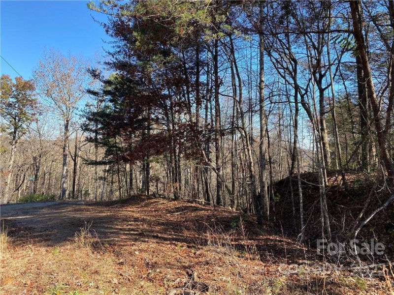 1090 Buffalo Shoals Road