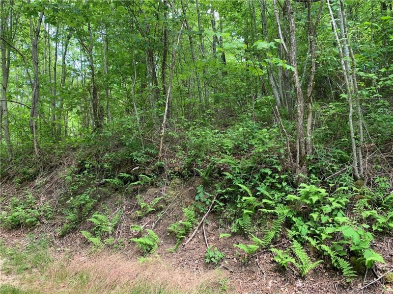 Property image 2 at Lot 18 Racoon Cove Road, Bryson City, NC 28713