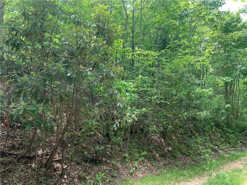 Property image 3 at Lot 18 Racoon Cove Road, Bryson City, NC 28713