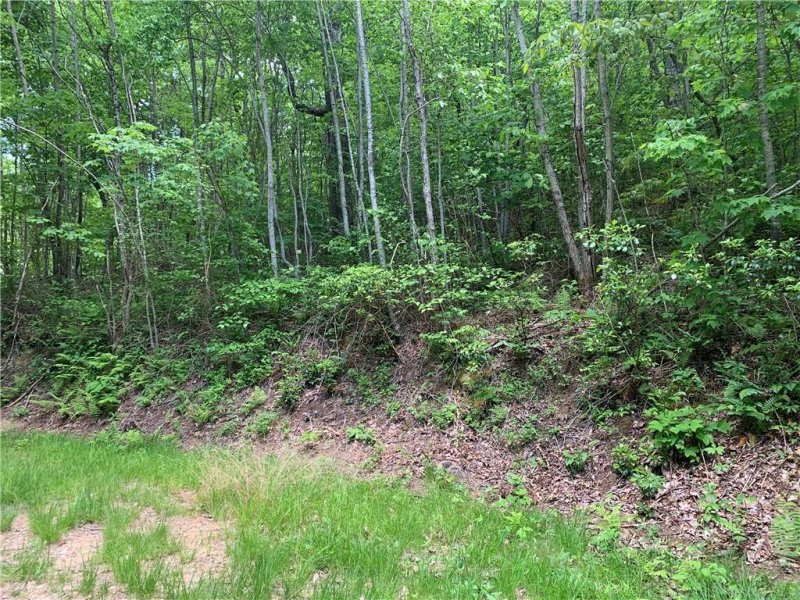 Property image 5 at Lot 18 Racoon Cove Road, Bryson City, NC 28713