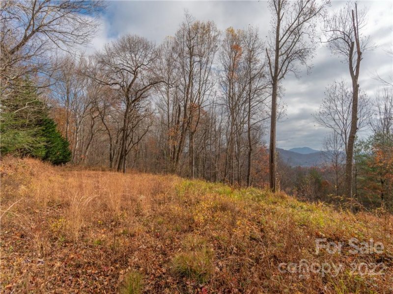 Property image 2 at 000 Point Of View Drive, Waynesville, NC 28785