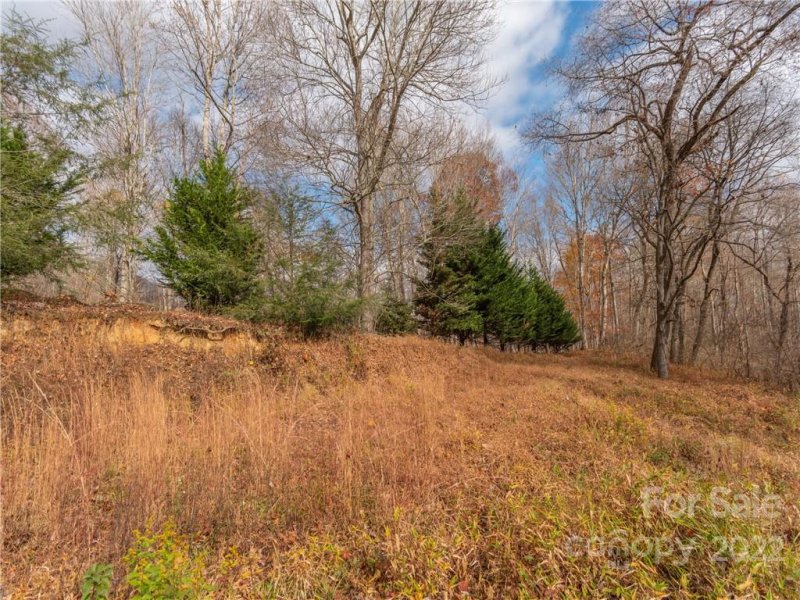 Property image 4 at 000 Point Of View Drive, Waynesville, NC 28785