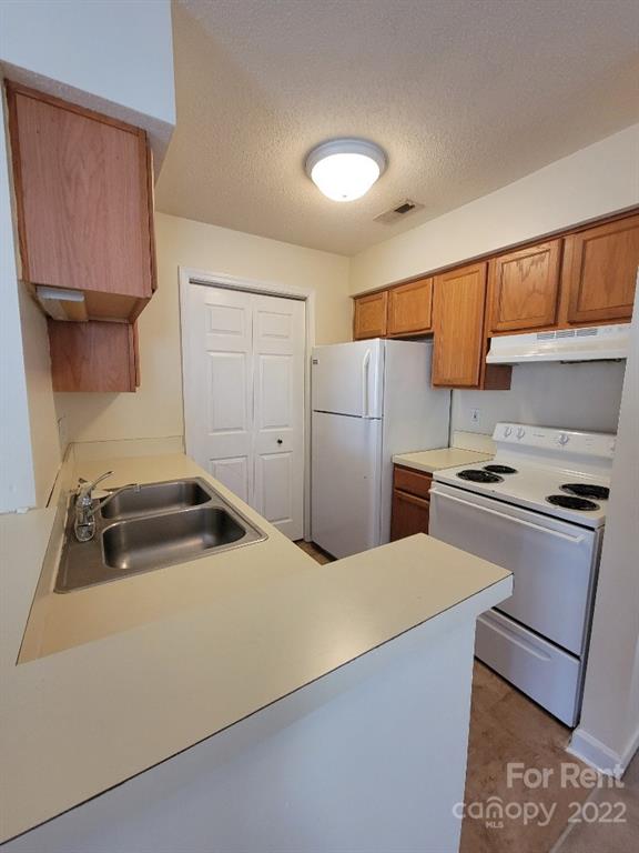 Property image 4 at 8119 Tremaine Court, Charlotte, NC 28227