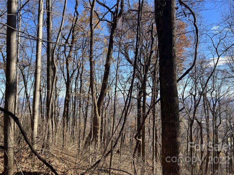 Property image 2 at 00 Hemlock Trail, Columbus, NC 28722