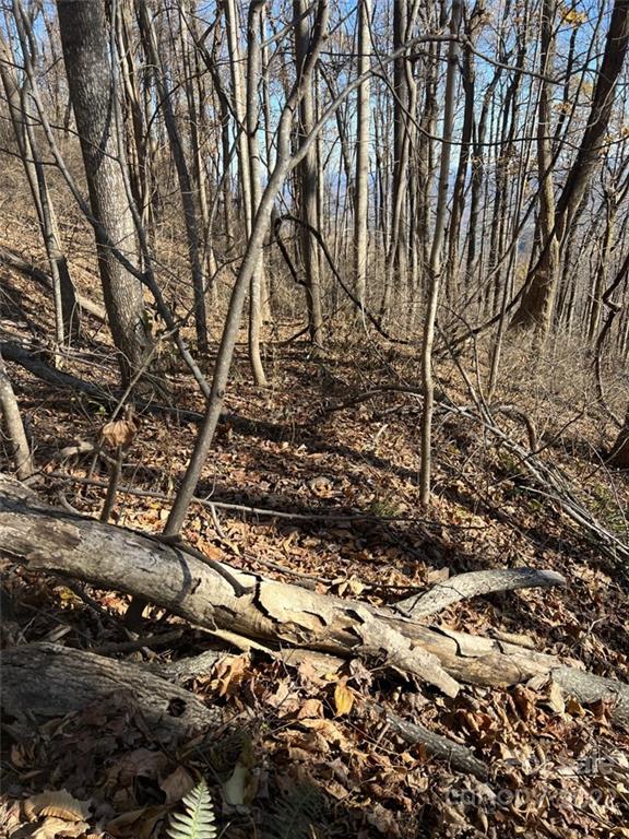 Property image 3 at 00 Hemlock Trail, Columbus, NC 28722