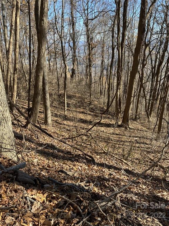 Property image 5 at 00 Hemlock Trail, Columbus, NC 28722