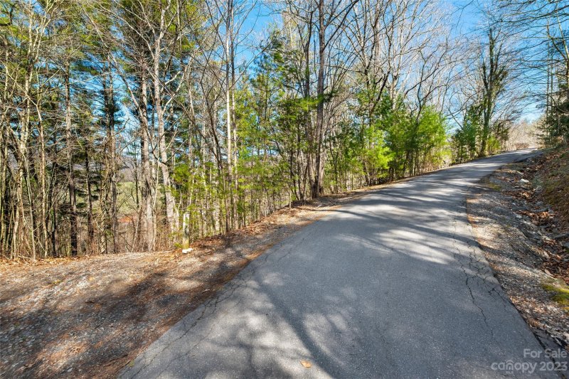 Property image 4 at 99999 Deer Run Lane, Asheville, NC 28805