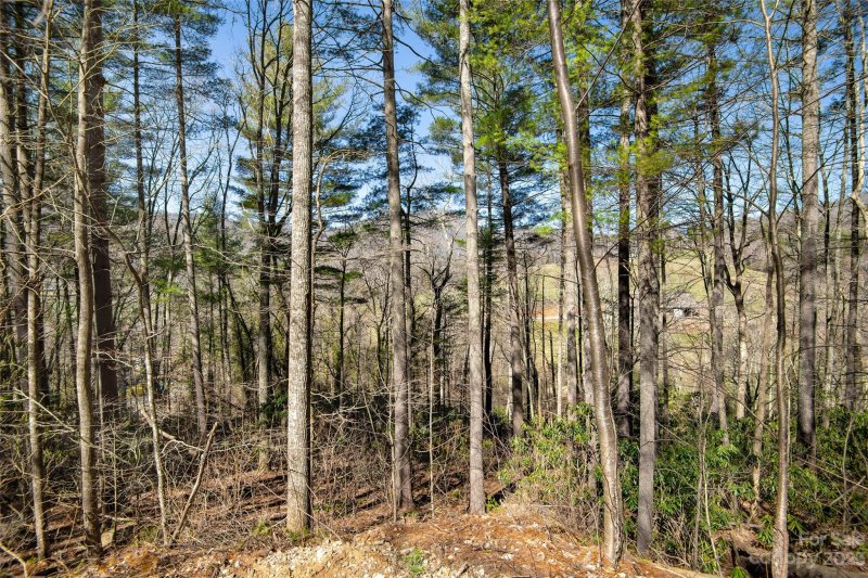 Property image 5 at 99999 Deer Run Lane, Asheville, NC 28805