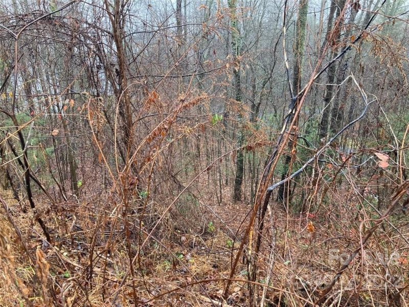 Property image 2 at 0000 Peregrine Drive, Hendersonville, NC 28739