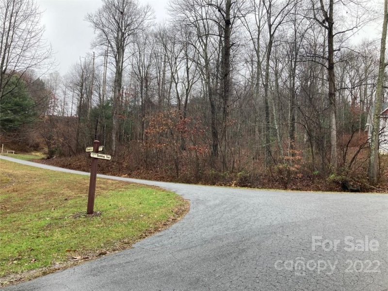 Property image 3 at 0000 Peregrine Drive, Hendersonville, NC 28739