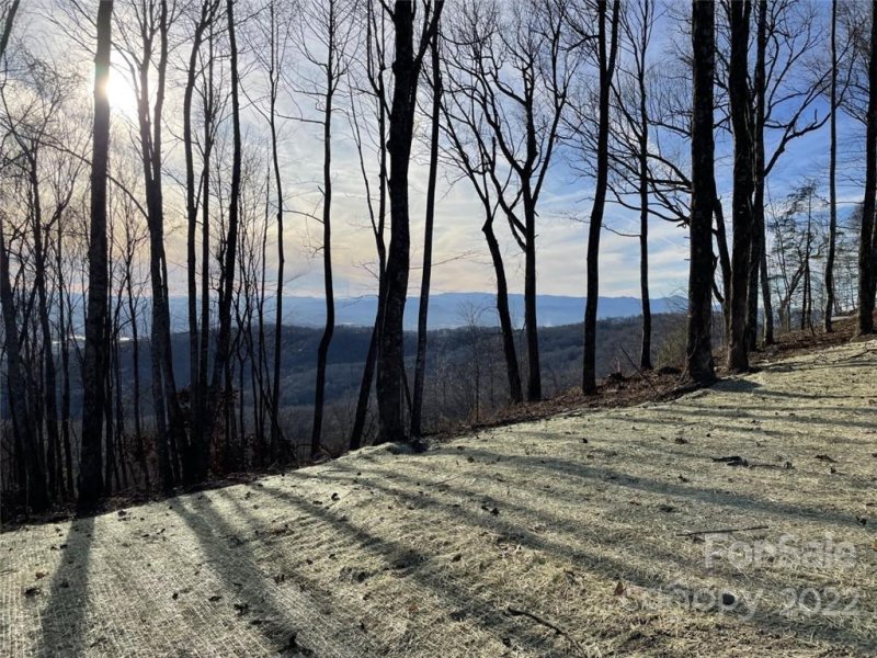 Property image 2 at 0000 East Garden Trail, Hendersonville, NC 28792