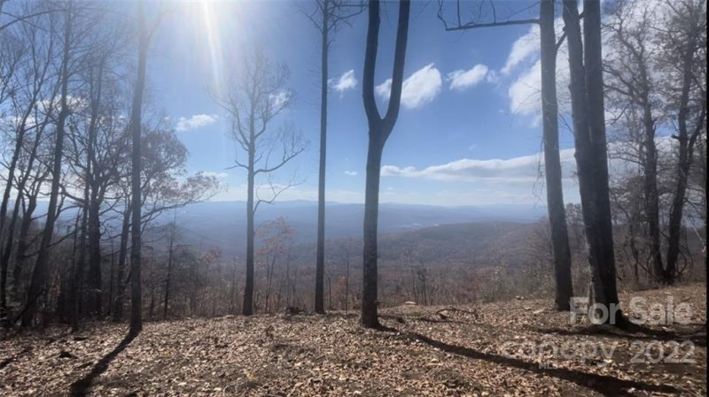 Property image 3 at 0000 East Garden Trail, Hendersonville, NC 28792