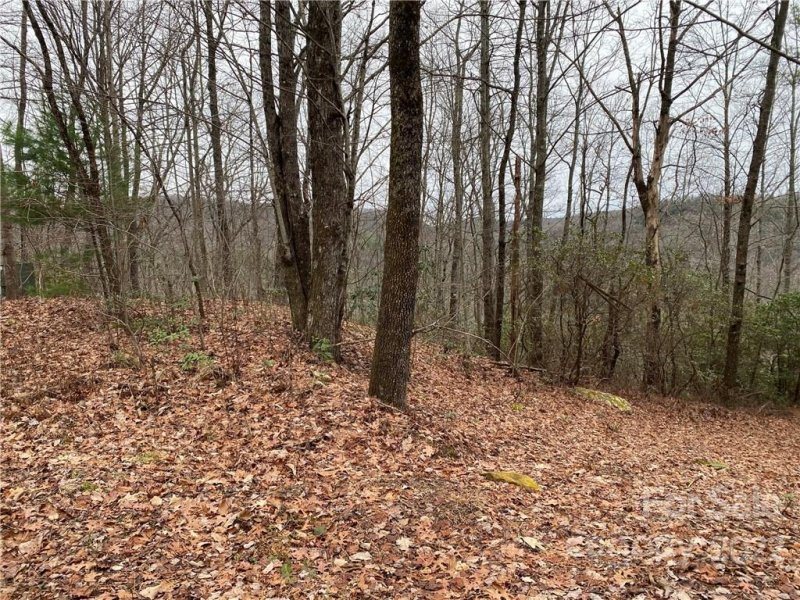 Property image 2 at Lot 83 Sandy Lane, Brevard, NC 28712