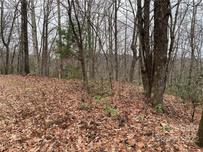 Property image 3 at Lot 83 Sandy Lane, Brevard, NC 28712