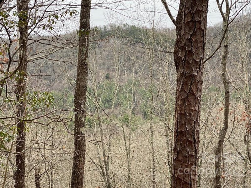 Property image 4 at Lot 83 Sandy Lane, Brevard, NC 28712