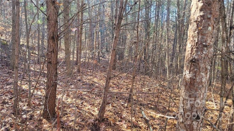 Property image 4 at 6 Haven Heights Drive, Marion, NC 28752