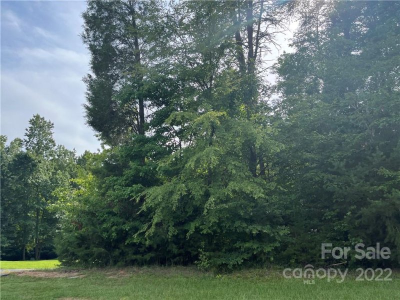 Property image 2 at 174 Twin Creeks Drive, Troutman, NC 28166