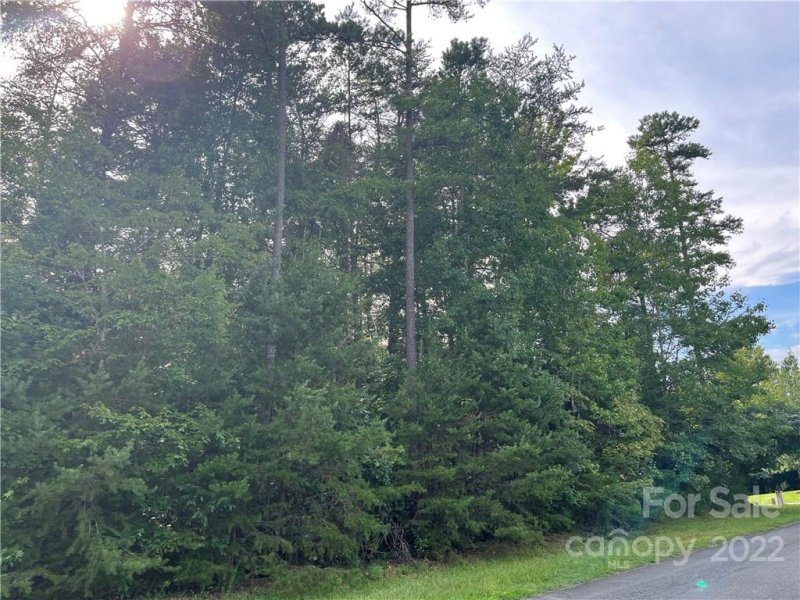 Property image 3 at 174 Twin Creeks Drive, Troutman, NC 28166